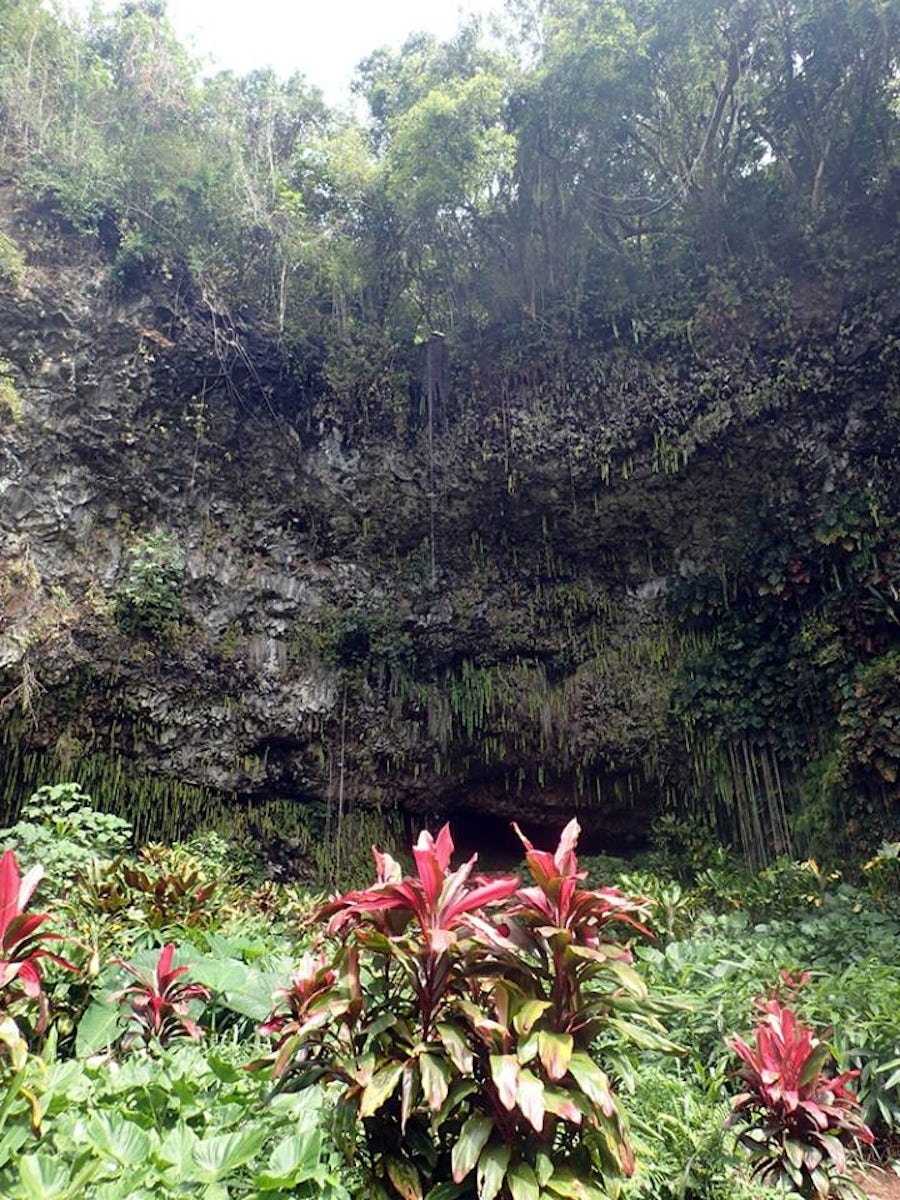 Fern Grotto on Best of Kauai tour