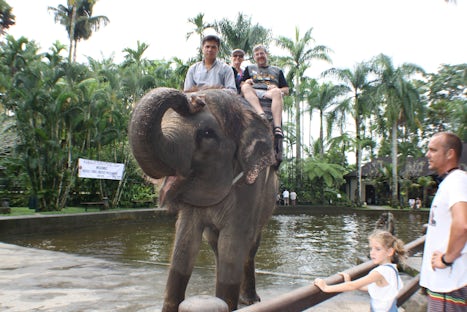 Elephant Safari in Lombok