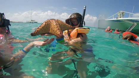 Snorkeling in Aruba.