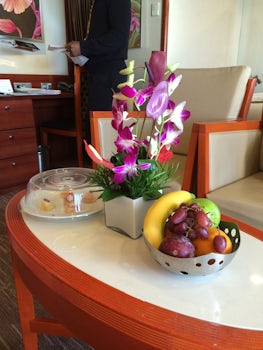 Fresh fruit, flowers and canapes on arrival