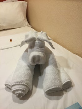 Our steward made us laugh with all the towel animals he made for us.
