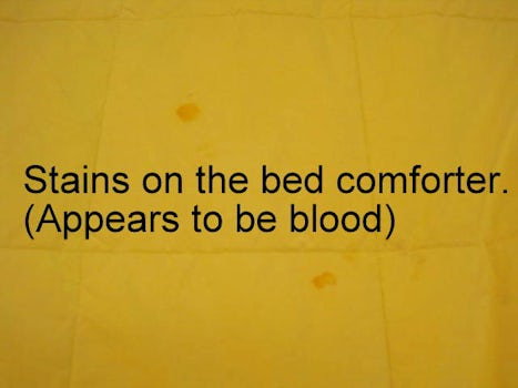 blood? stains on comforter