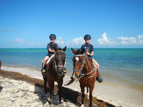 Private Excursion - Cayman Horse Riding (with Nikki)