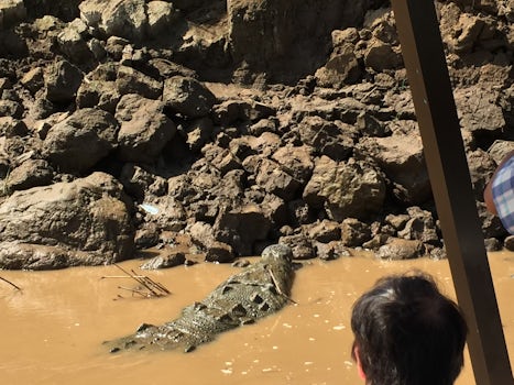 A croc excursion in Costa Rica.