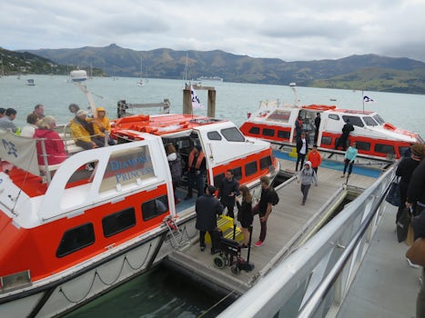 At Akaroa we had to get tenders (lifeboats) to get from ship to shore