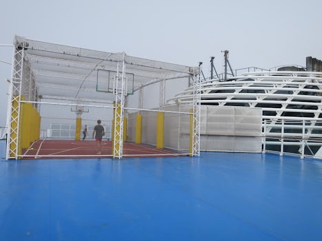 Sports level - tennis/basketball court