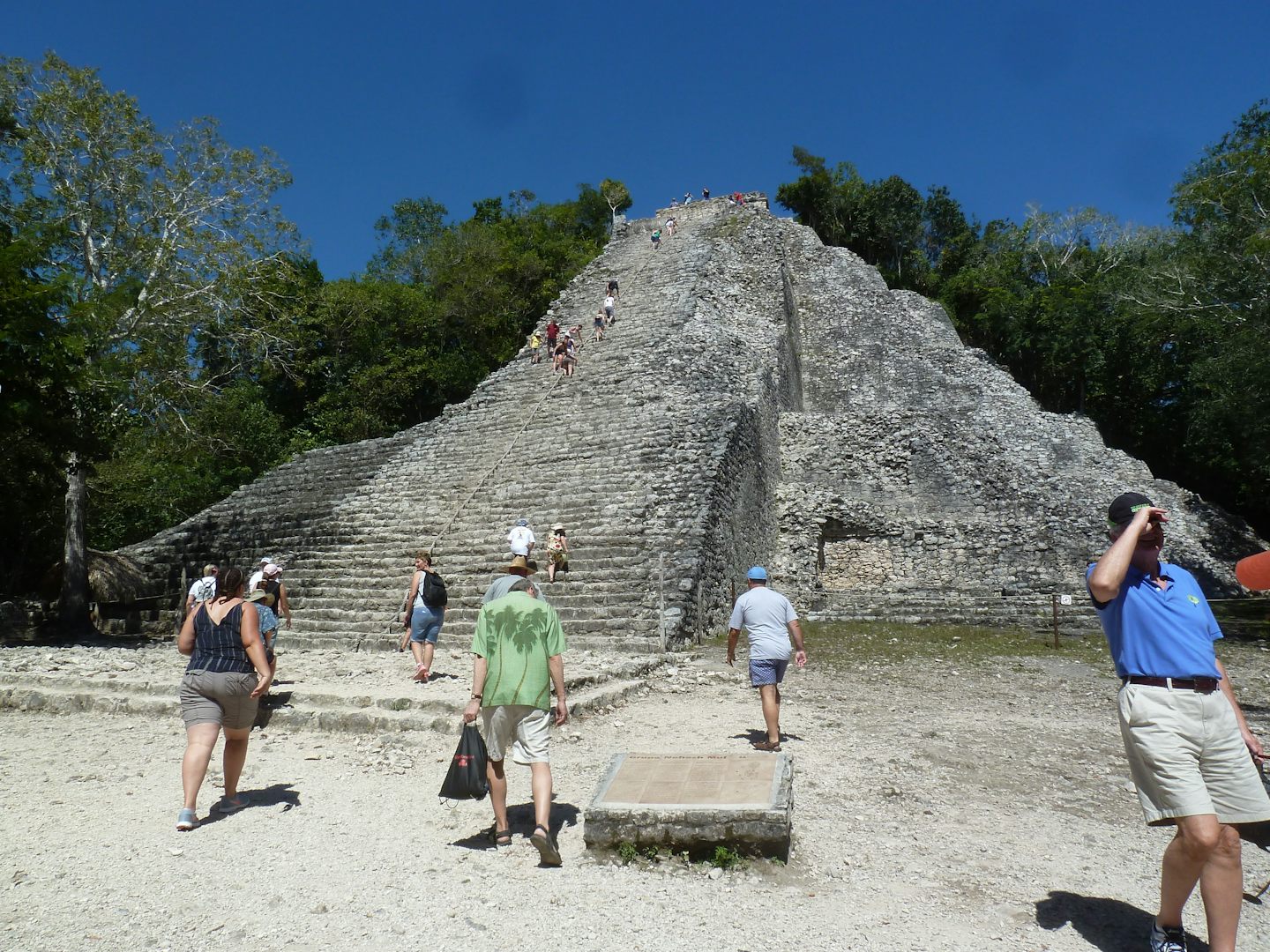 Shore excursion to Coba, climbing a Mayan ruin from the year 800. A real thrill