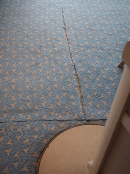 Carpets throughout in poor condition