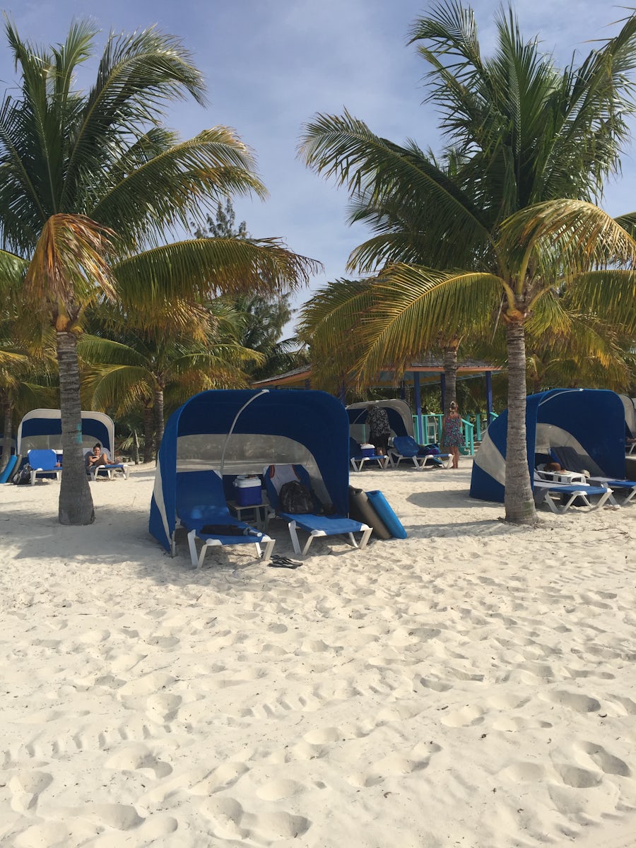 Beach loungers at CocoCay