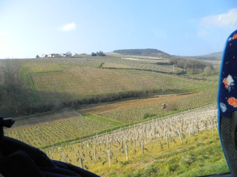 Vines of grape near Burgundy covered the hills near the river, and a featured tour of a wine museum was an eye-opener.