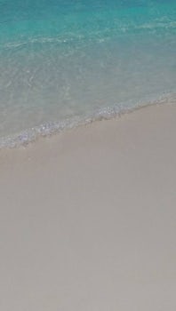 The beach at Half Moon Cay, Bahamas. Softest, most beautiful sand ever!