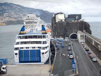 Photo from hill overlooking port in Funchal