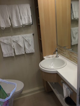 Bathroom Sink-Small but renovated- No plugs!