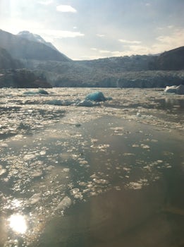 I had the opportunity to see glaciers, floating ice chunks, and  seals sunning