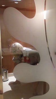I couldn't rotate the photo, but you can see my Sister demonstrating the glass toilet door