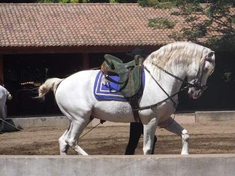 El Rosario Equestrian Show
