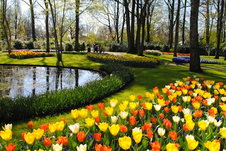 Amsterdam during tulip time