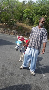 St. Thomas -  Local with his Lady Gaga.
