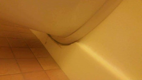 Mold behind toilet