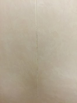 Mould in shower