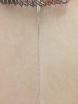 More mold in shower
