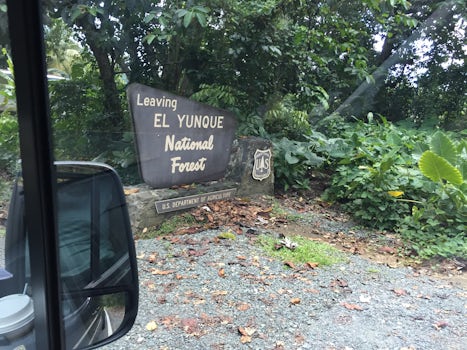 El Yunque  National Rainforest