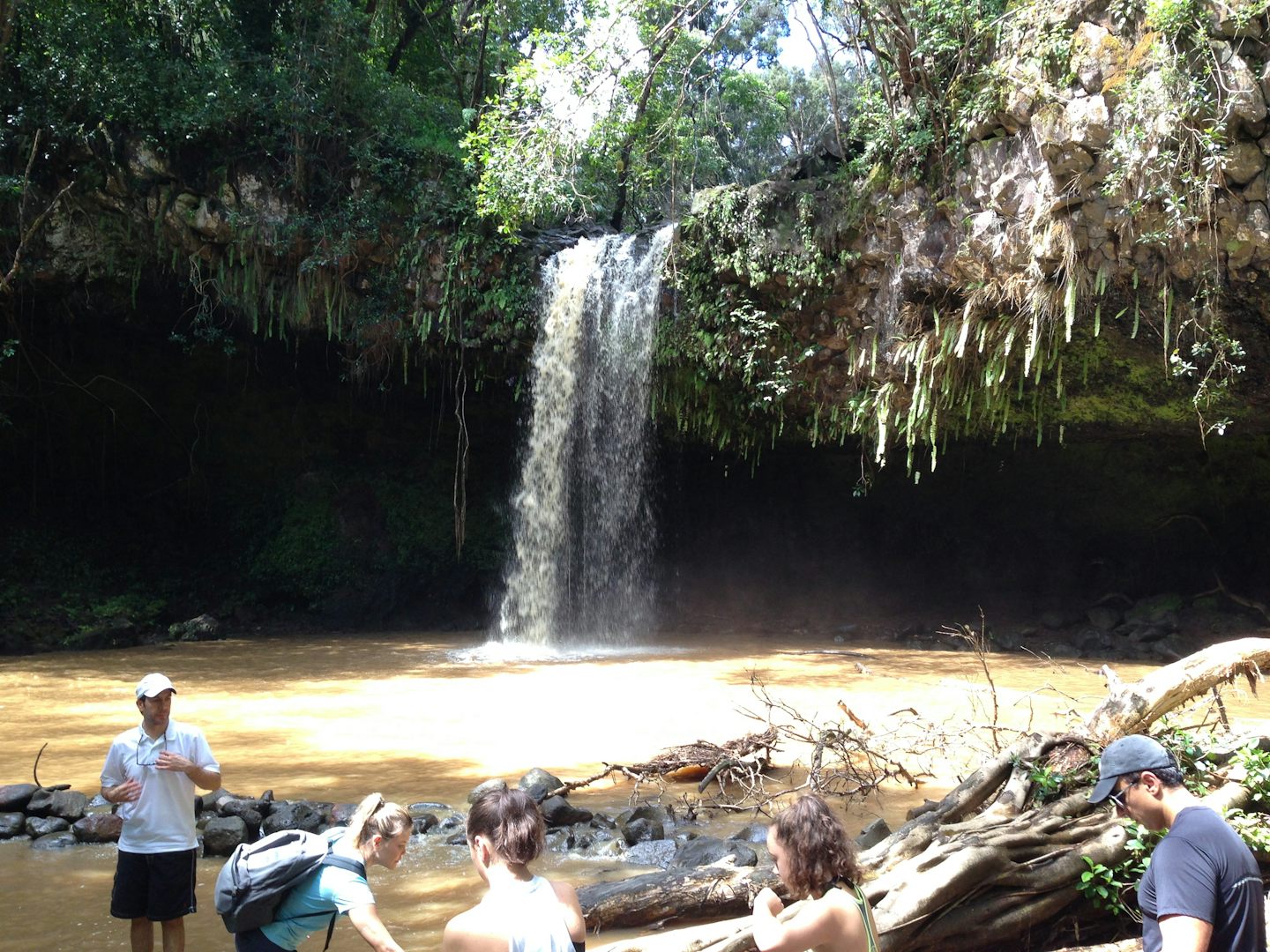 Maui waterfall hike