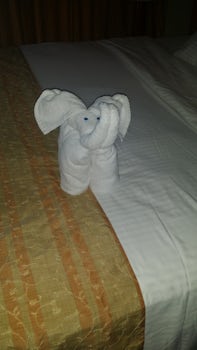 An elephant left on my bed made out of towels by Steward.