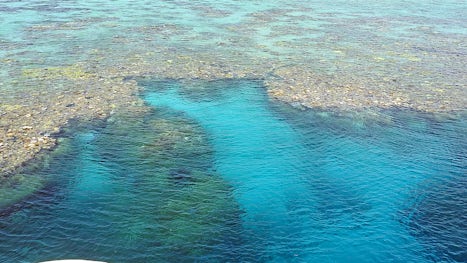 The ribbon reef where we dived