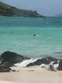 Beach and clear water on Tortuga B.V.I.