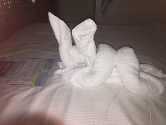 Towel bunny!