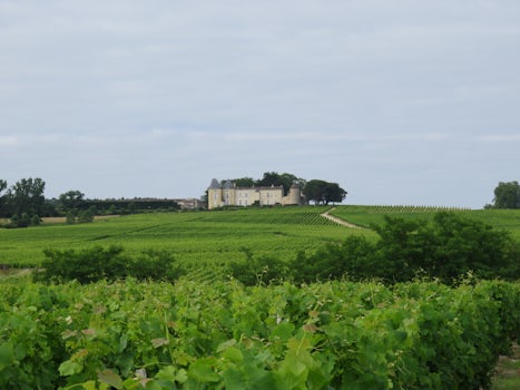 French Chateau and vinyard