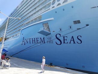 Here is Anthem of the Seas docked in St. Maarten. Got picture walking back