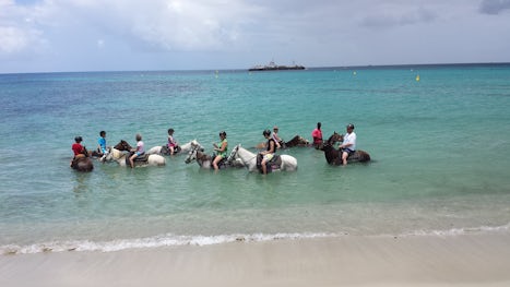 We really enjoyed riding the horses as they swam in the ocean