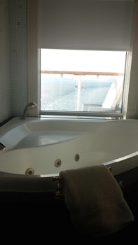 View from Jacuzzi Tub