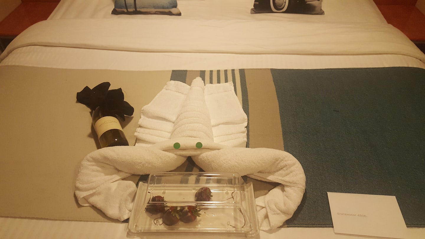 Coming back to our room with treats for us was amazing. Our room cleaned two times a day, fresh towels and amazing room.