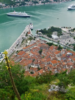 View of Kotor from fort - after walking the 1700 steps. And worth it!