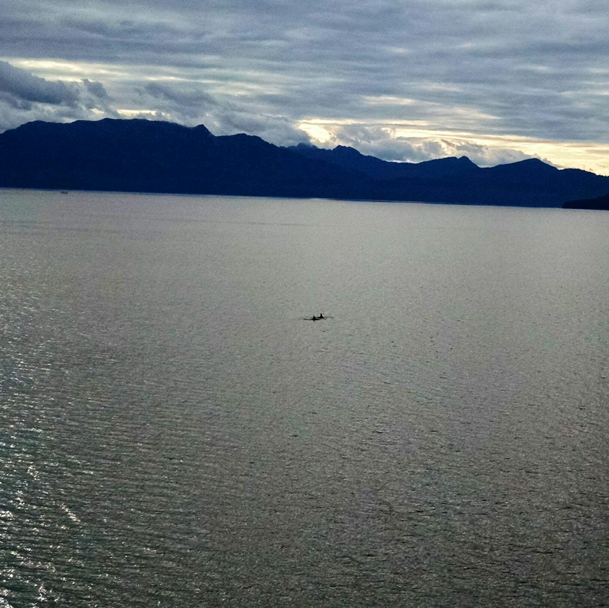 Orca seen from our balcony. We also saw dozens of humpback whales and a handful of porpoises.