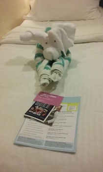 Our towel animal in the cabin