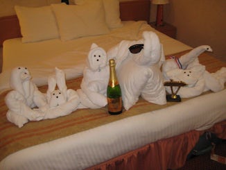 Towel animal party in the room
