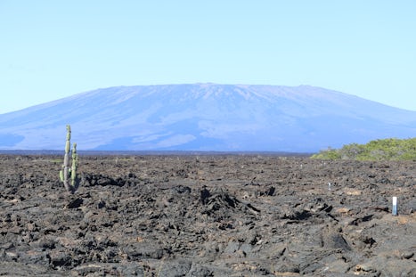 A walk on the lava.  Volcano in the distance.