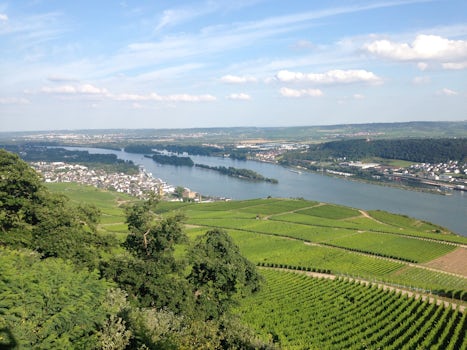 The view from a gondola in Rudesheim Germany. The Rhine River is in the dis