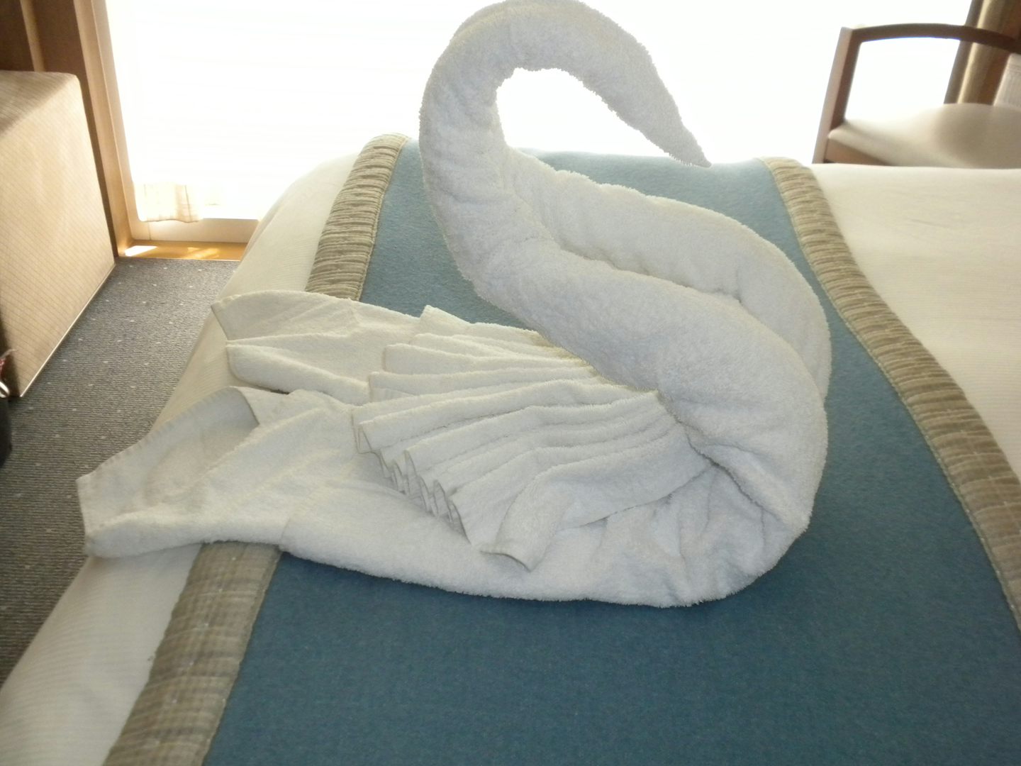 Cabin art..a towel swan made by our wonderful attendant