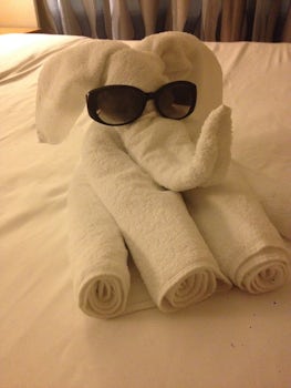 Towel animal.