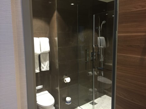 Front bath with shower and closets.