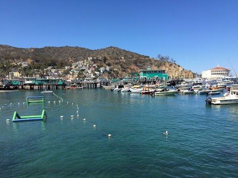 Lovely Catalina