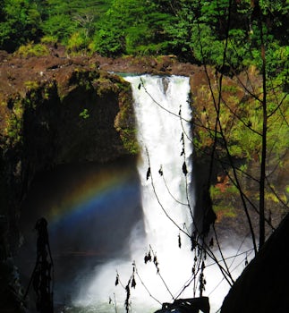 Rainbow Falls, Big Island.  We took a tour of the volcano, waterfall, etc.