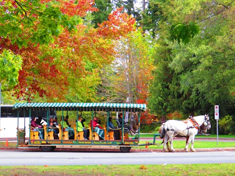 Stanley Park, Vancouver near the totem poles with a horse-drawn carriage an