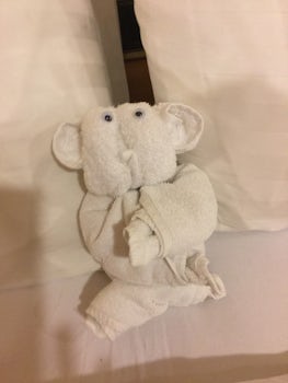 Towel animal a Koala as someone stole the ones I had on our room letter box
