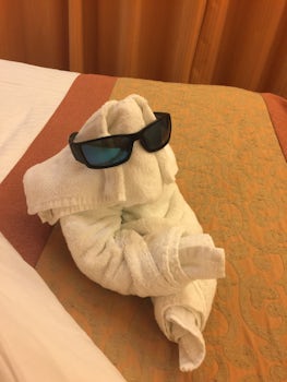Towel animals left on bed every night